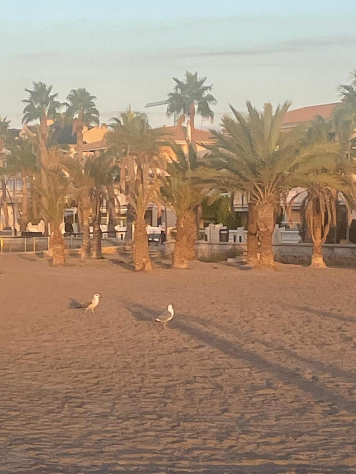 Apartamento Santa Pola, En Playa Del Tamarit Con Piscina. Zewnętrze zdjęcie